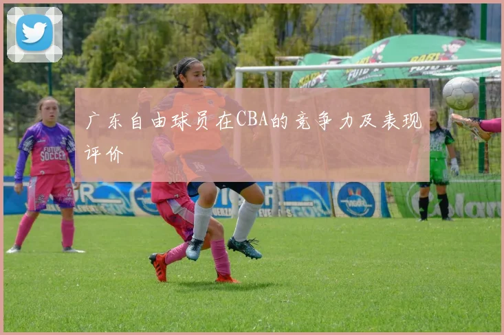 广东自由球员在CBA的竞争力及表现评价